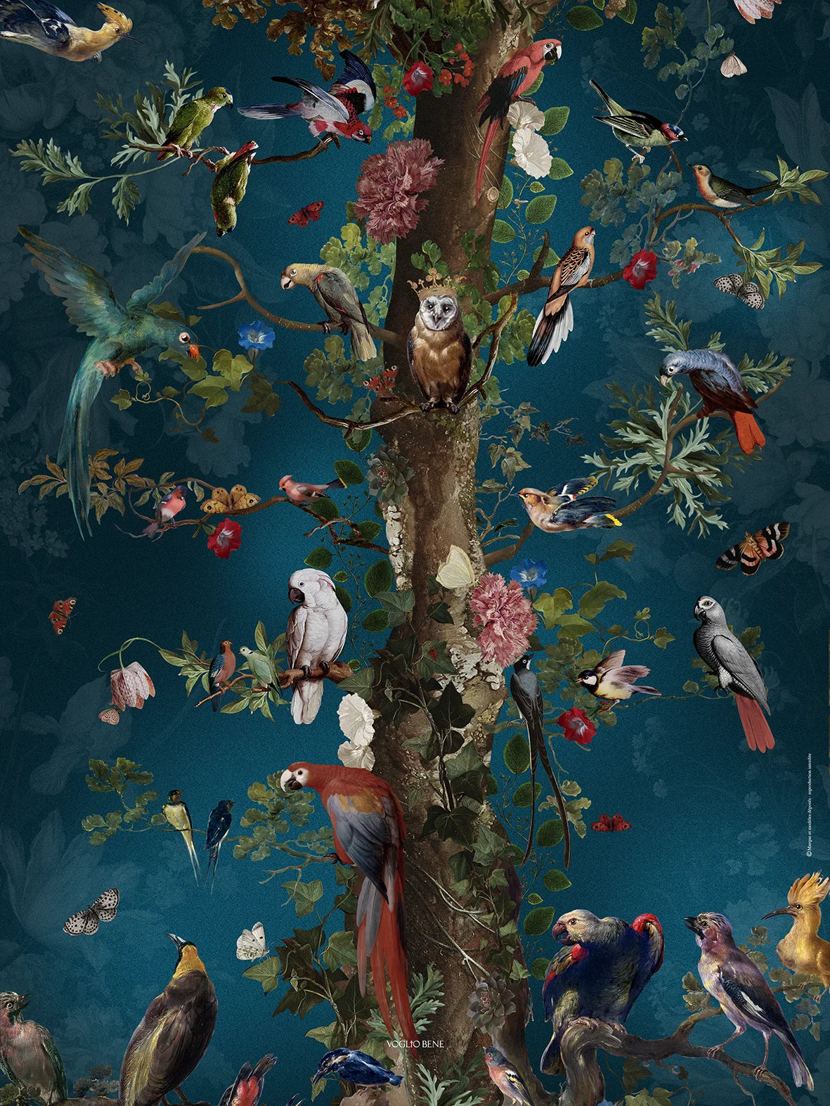 Tree of Life A3 Poster